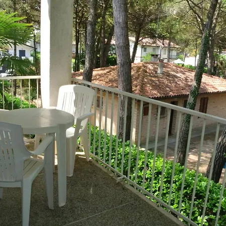 Chiara 3 *